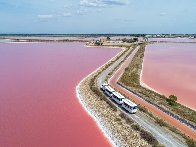 Petit train Salins midi